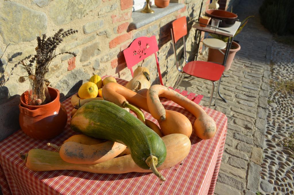 Cascina Il Convivio Konuk evi Diano dʼAlba Dış mekan fotoğraf