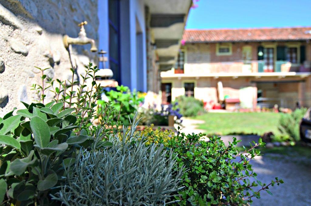 Cascina Il Convivio Konuk evi Diano dʼAlba Dış mekan fotoğraf