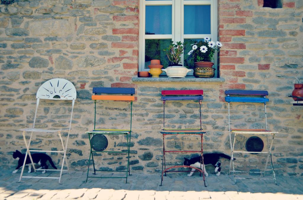 Cascina Il Convivio Konuk evi Diano dʼAlba Dış mekan fotoğraf
