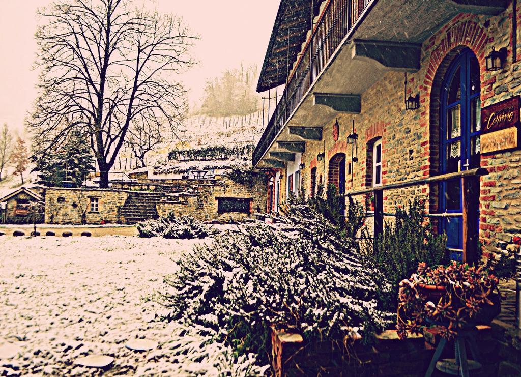 Cascina Il Convivio Konuk evi Diano dʼAlba Dış mekan fotoğraf