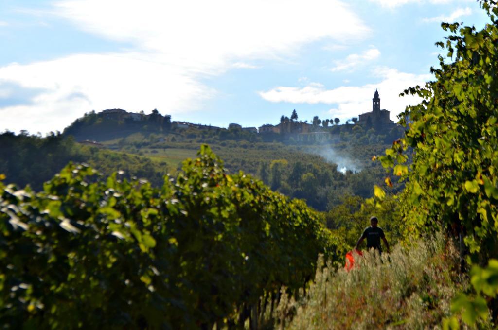 Cascina Il Convivio Konuk evi Diano dʼAlba Dış mekan fotoğraf
