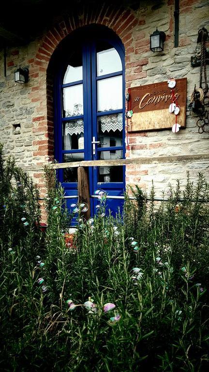 Cascina Il Convivio Konuk evi Diano dʼAlba Dış mekan fotoğraf