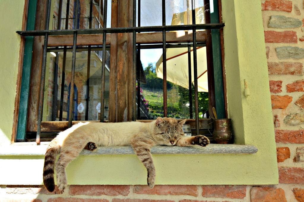 Cascina Il Convivio Konuk evi Diano dʼAlba Dış mekan fotoğraf